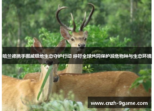 哈兰德携手挪威极地生态守护行动 呼吁全球共同保护濒危物种与生态环境 哈兰德携手挪威极地生态守护行动 呼吁全球共同保护濒危物种与生态环境