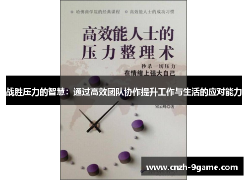 战胜压力的智慧:通过高效团队协作提升工作与生活的应对能力 战胜压力的智慧:通过高效团队协作提升工作与生活的应对能力