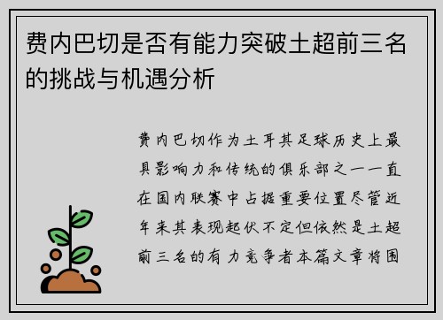 费内巴切是否有能力突破土超前三名的挑战与机遇分析