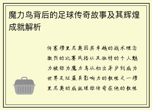 魔力鸟背后的足球传奇故事及其辉煌成就解析 魔力鸟背后的足球传奇故事及其辉煌成就解析