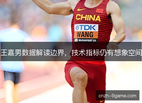 王嘉男数据解读边界，技术指标仍有想象空间